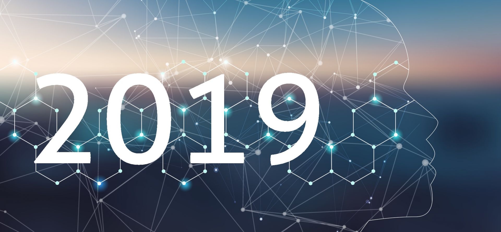 Rückblick 2018 und Ausblick 2019