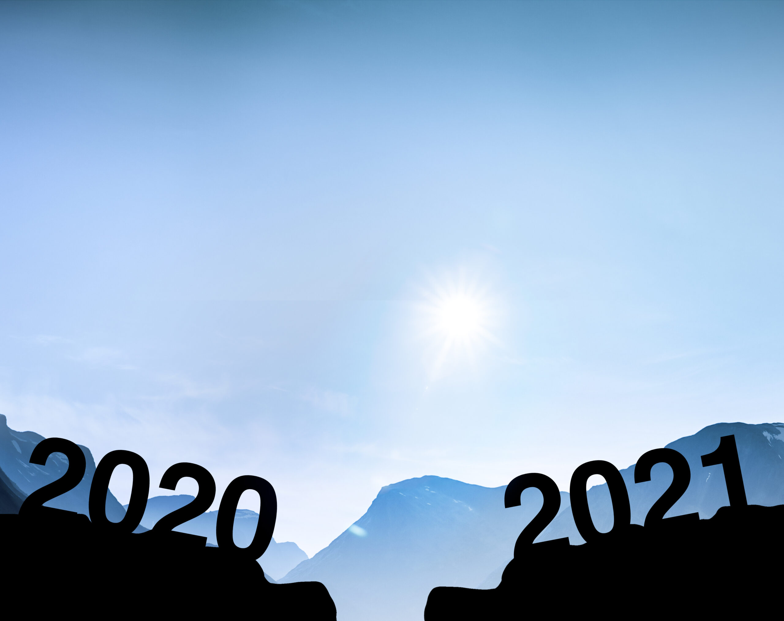 Review 2020 and Preview 2021